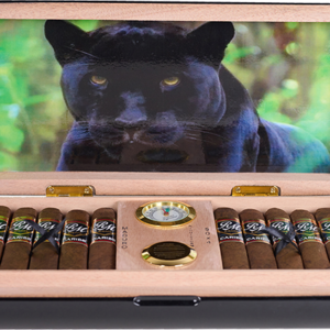 RM MADURO GORDO